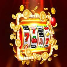 5567 bet